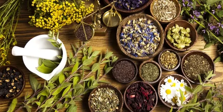 Herbal Medicine in Mohali