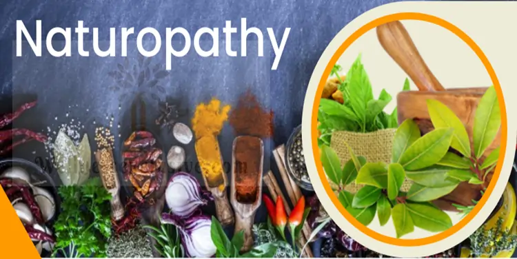 Naturopathy Treatment in Mohali